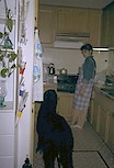 サーシャの写真